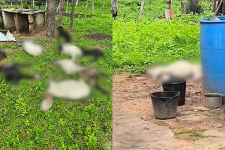 destaque-20260301-192300